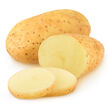 AL2363 aardappel gezaaid 3