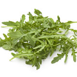 Rucola