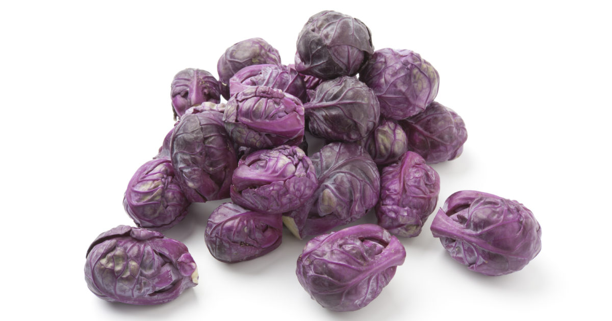 Chou de Bruxelles violet | Allegrow